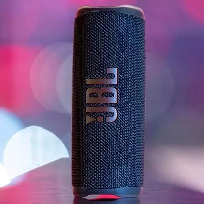 JBL Flip 6 in black and grey standing vertically