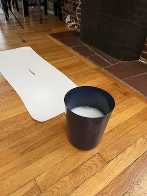 Grab a soft bristle brush and a bucket of lukewarm water mixed with a light touch of dish soap; grab a separate small container of lukewarm water